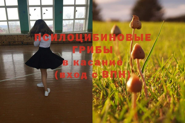 Альфа ПВП Бронницы