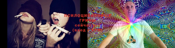 мдма Бородино