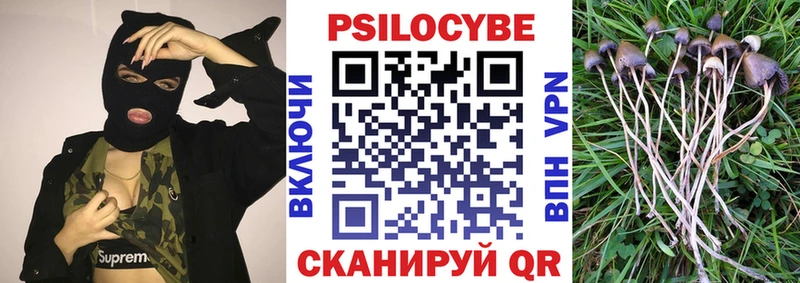Галлюциногенные грибы Psilocybe  Купить  Полярный 